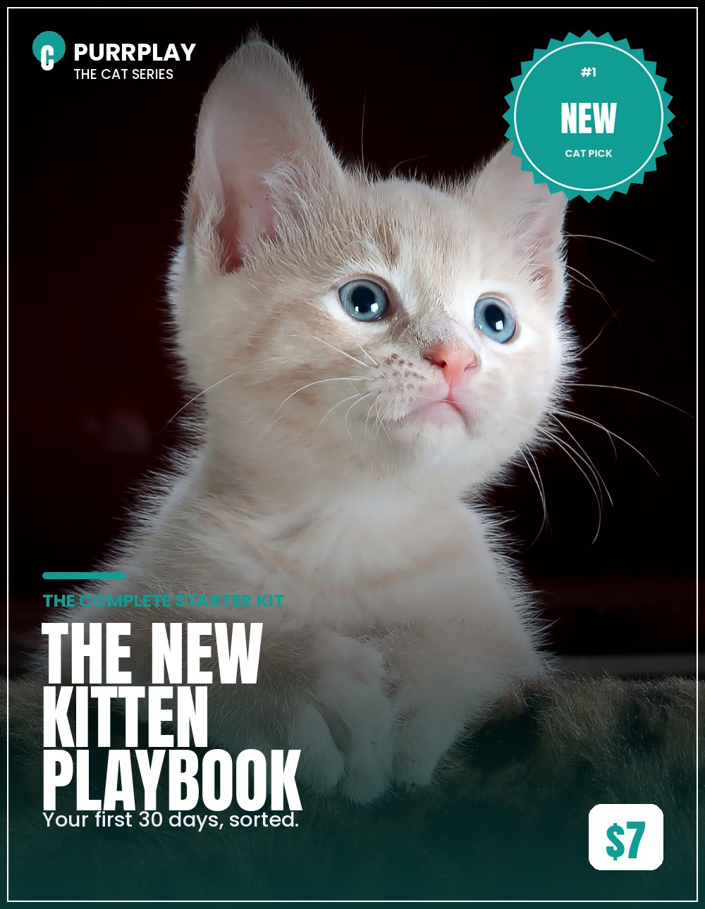 The New Kitten Playbook cover