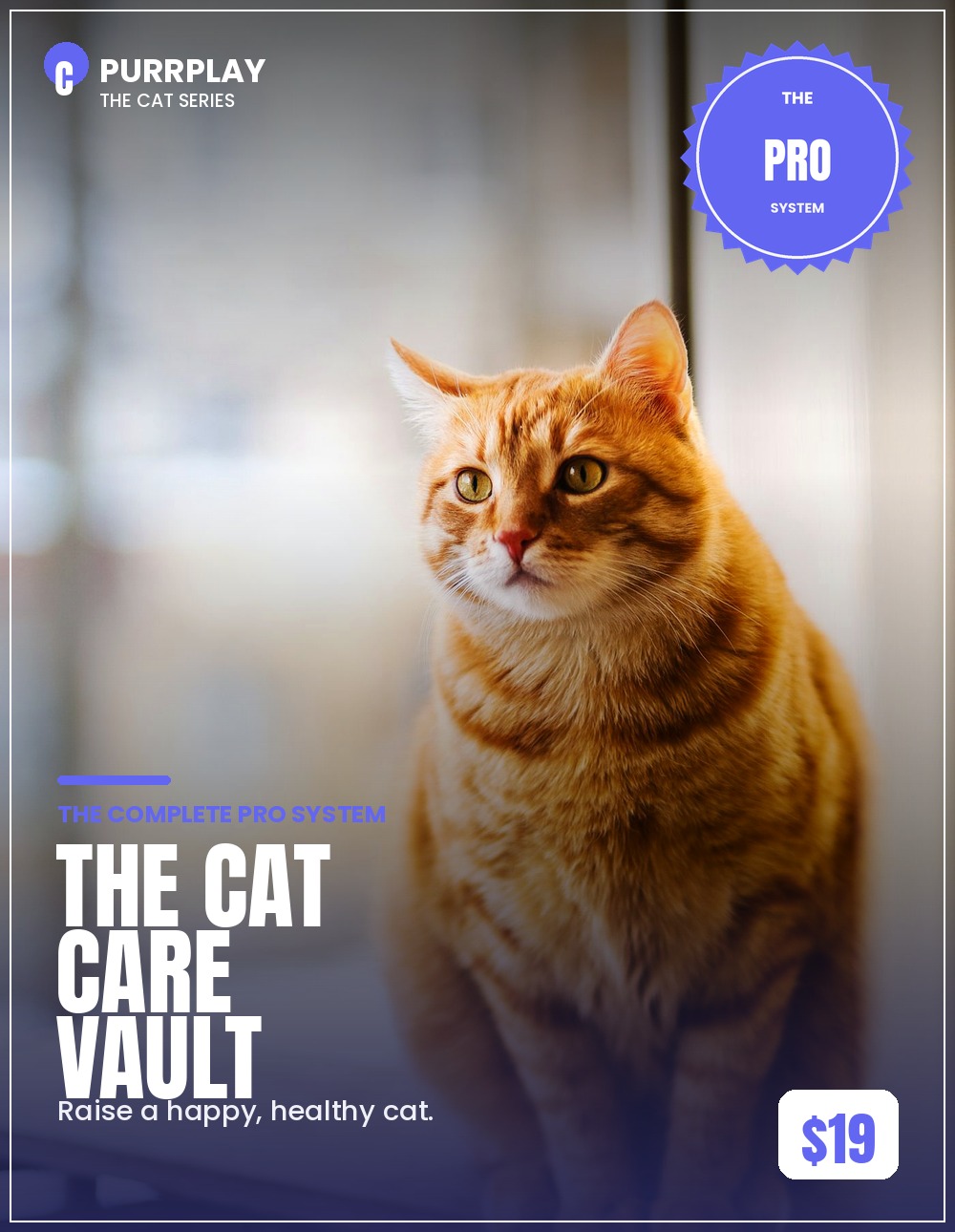 The Cat Care Vault cover